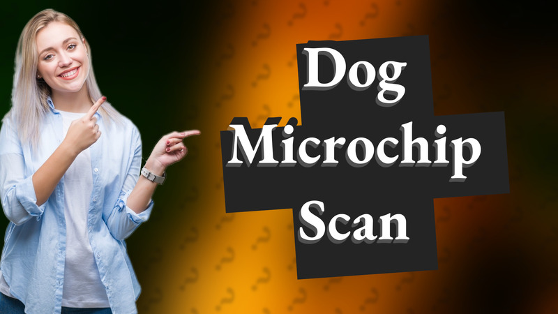 Dog Microchip Scan