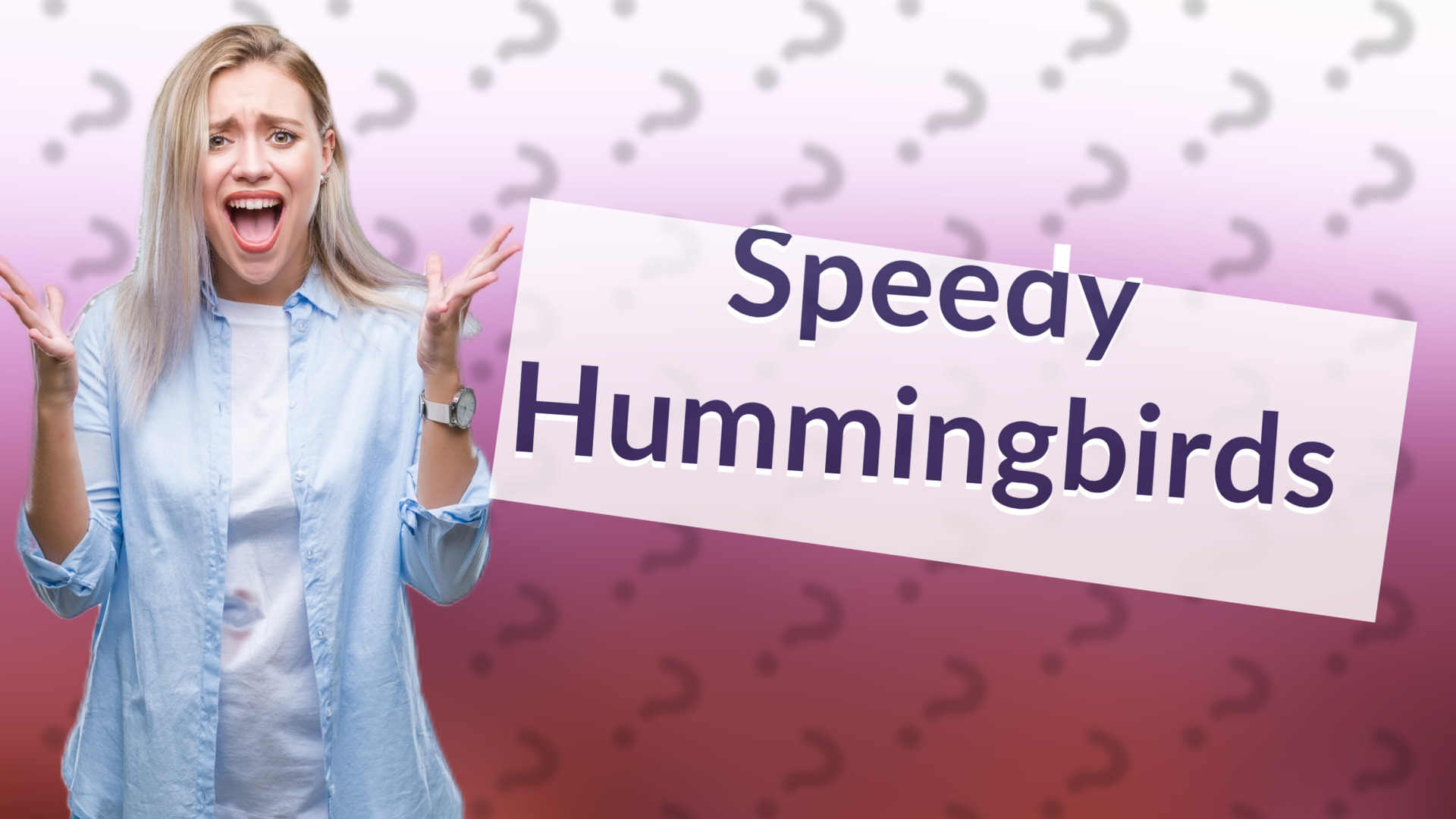 Speedy Hummingbirds