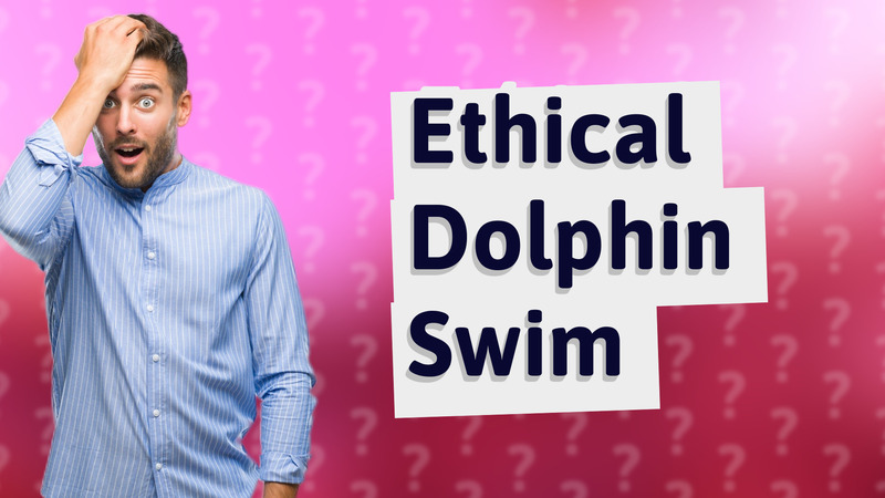 Ethical Dolphin Swim