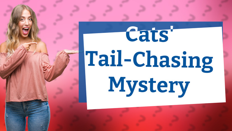 Cats' Tail-Chasing Mystery