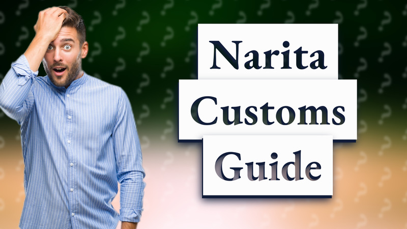 Narita Customs Guide