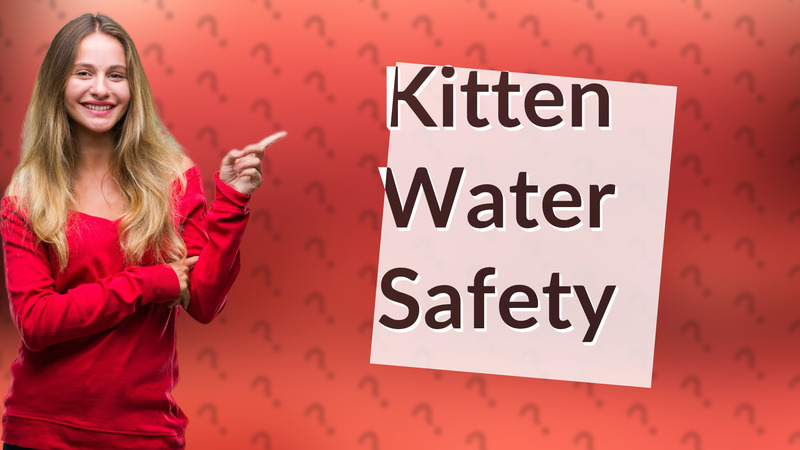 Kitten Water Safety
