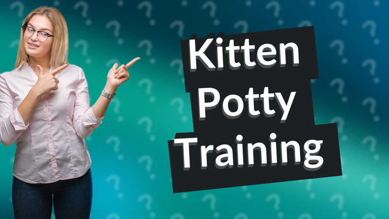 Kitten Potty Training