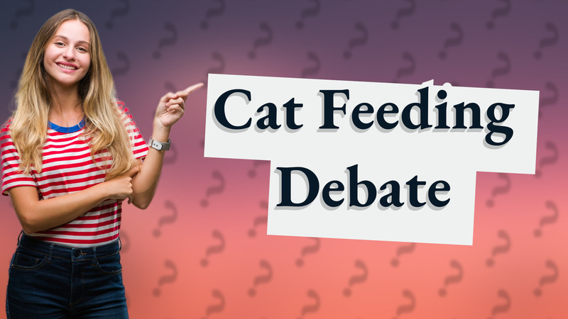 Cat Feeding Debate