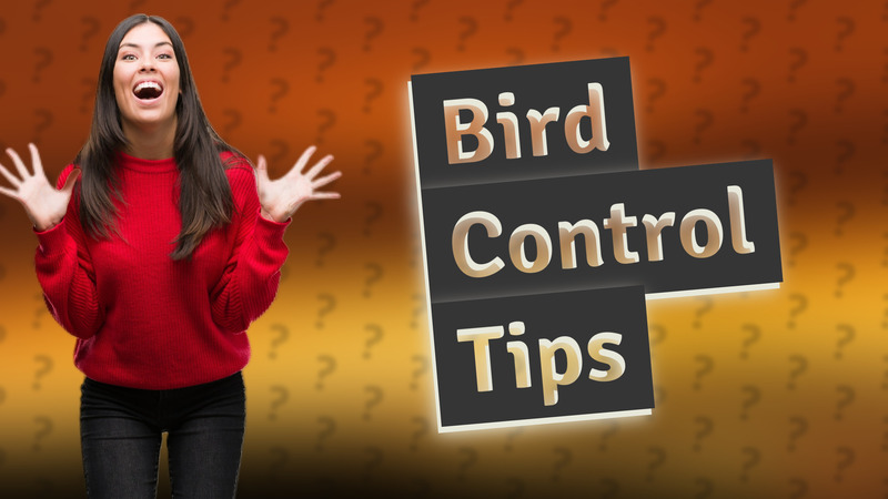 Bird Control Tips