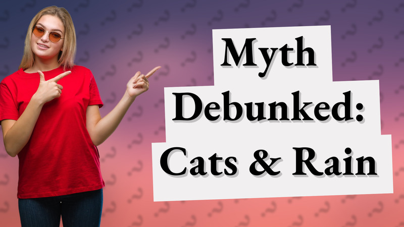Myth Debunked: Cats & Rain