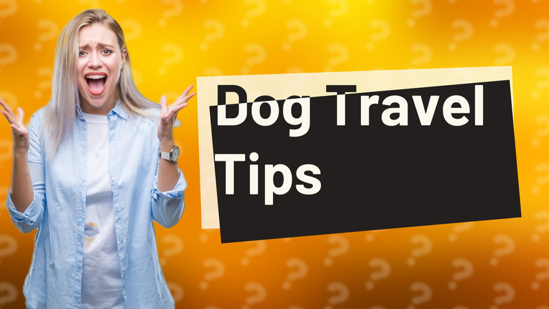 Dog Travel Tips