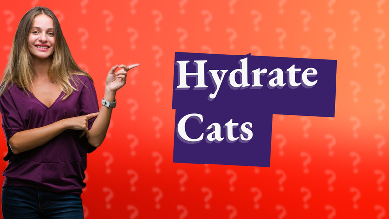 Hydrate Cats