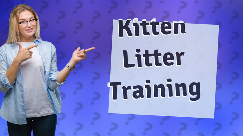 Kitten Litter Training
