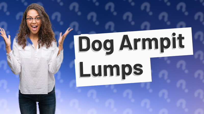 Dog Armpit Lumps