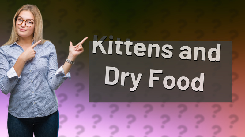 Kittens and Dry Food