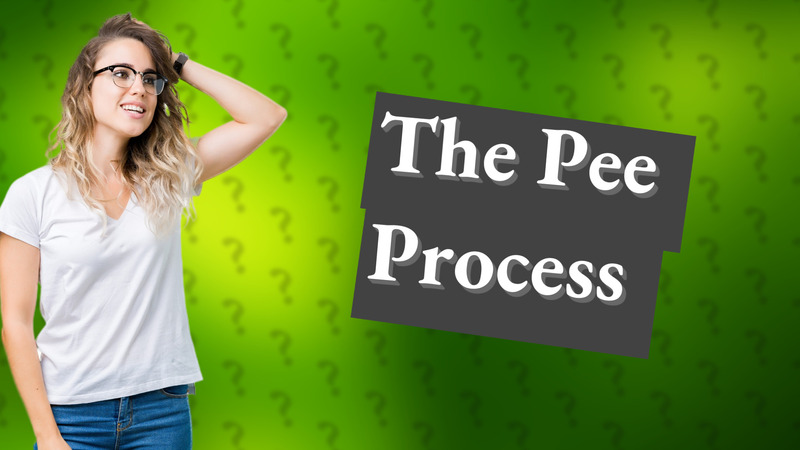 The Pee Process