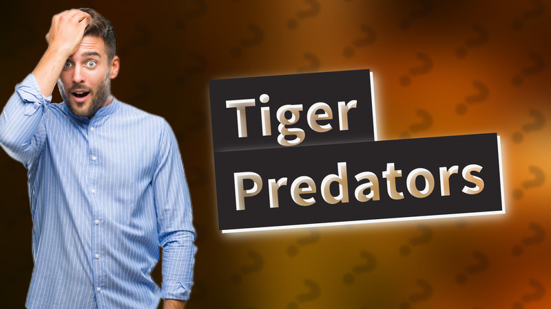 Tiger Predators
