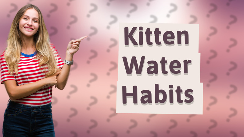 Kitten Water Habits