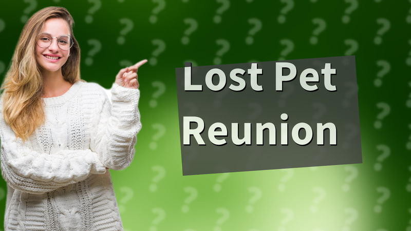 Lost Pet Reunion