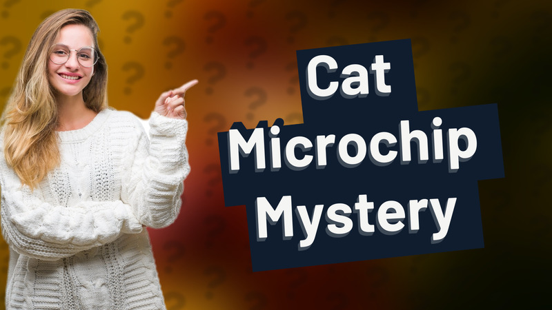 Cat Microchip Mystery