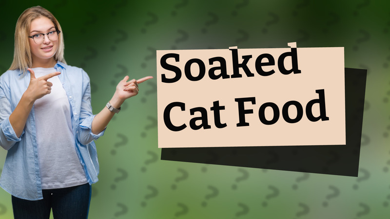Soaked Cat Food