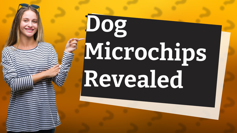 Dog Microchips Revealed
