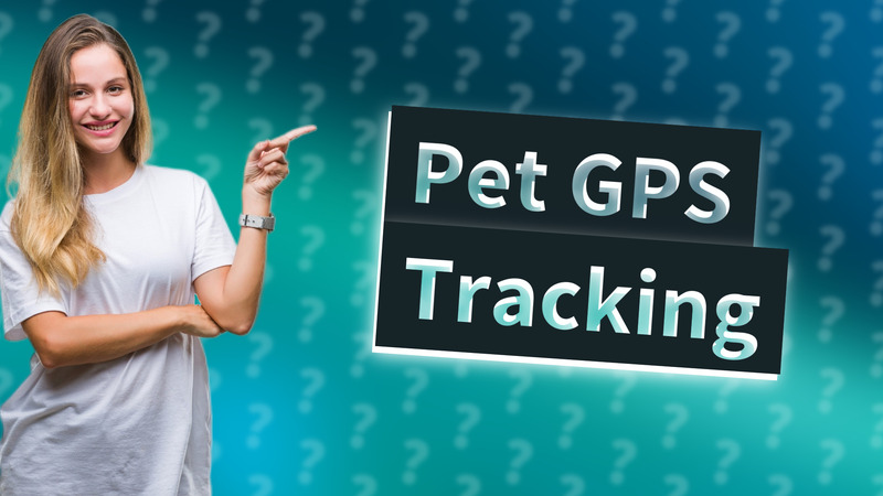 Pet GPS Tracking