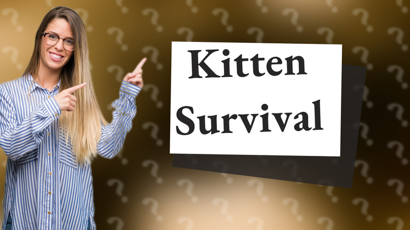 Kitten Survival