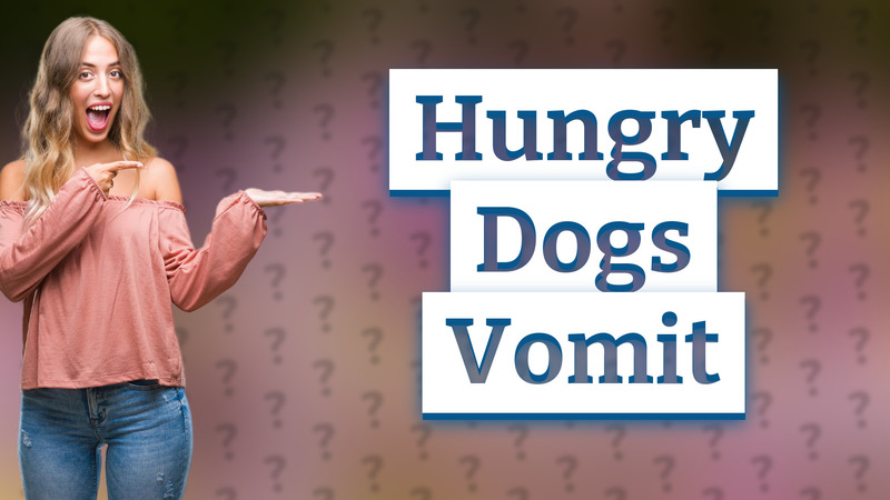 Hungry Dogs Vomit