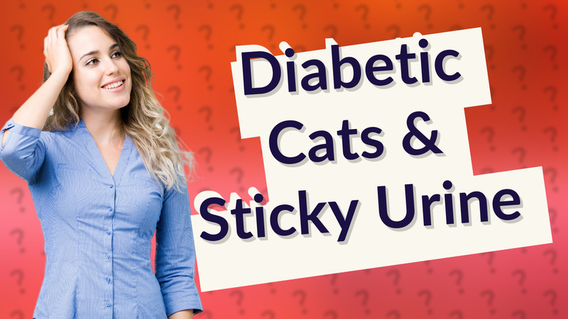 Diabetic Cats & Sticky Urine