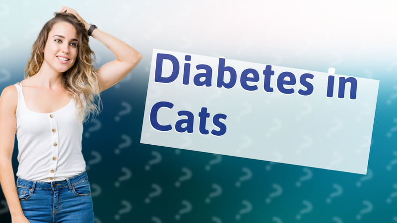 Diabetes in Cats
