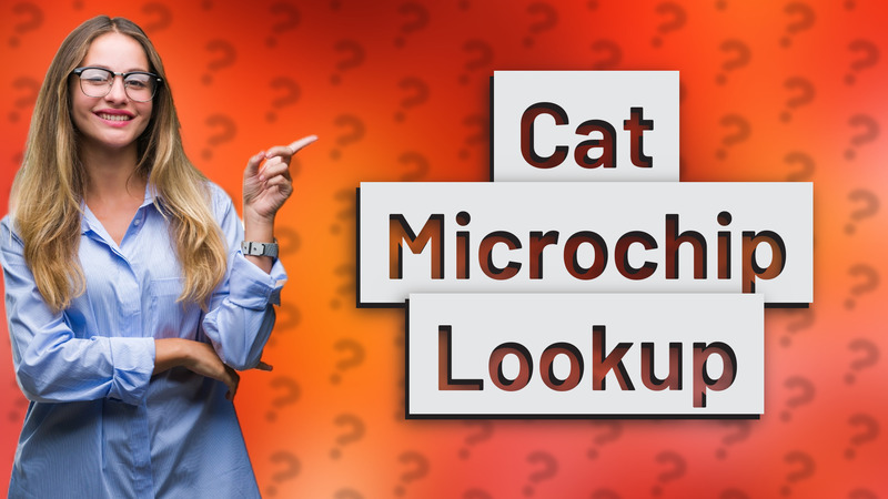 Cat Microchip Lookup