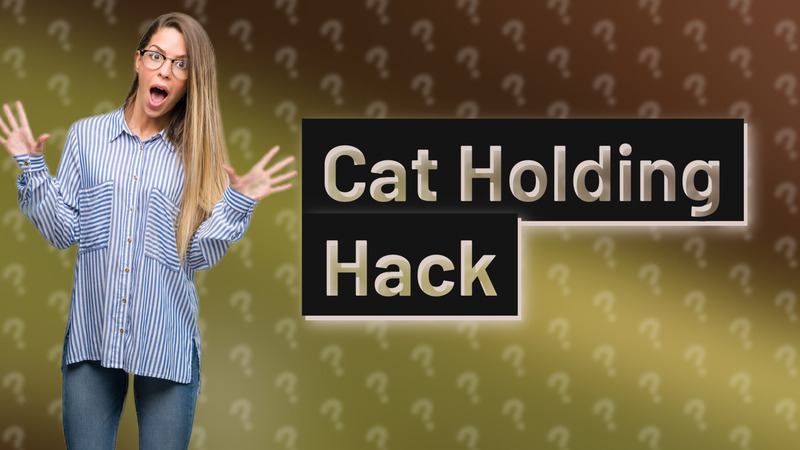 Cat Holding Hack