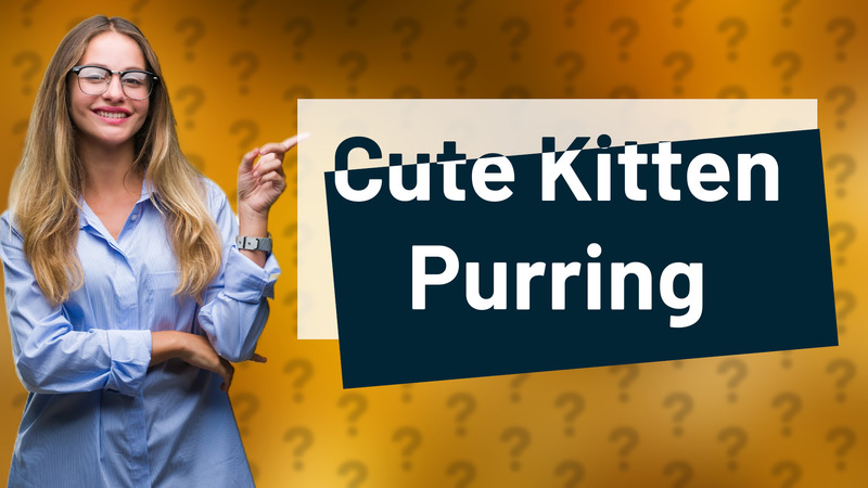 Cute Kitten Purring