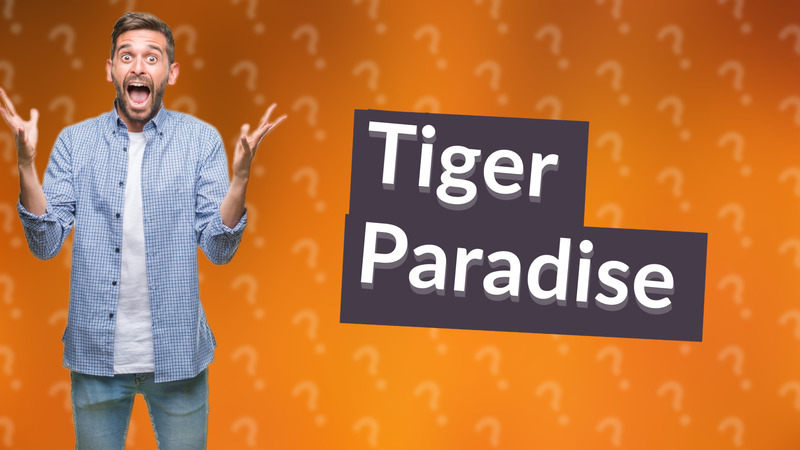 Tiger Paradise