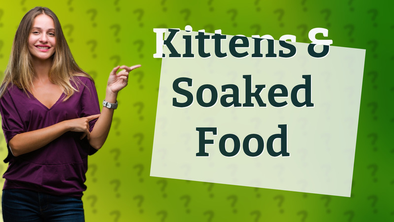 Kittens & Soaked Food