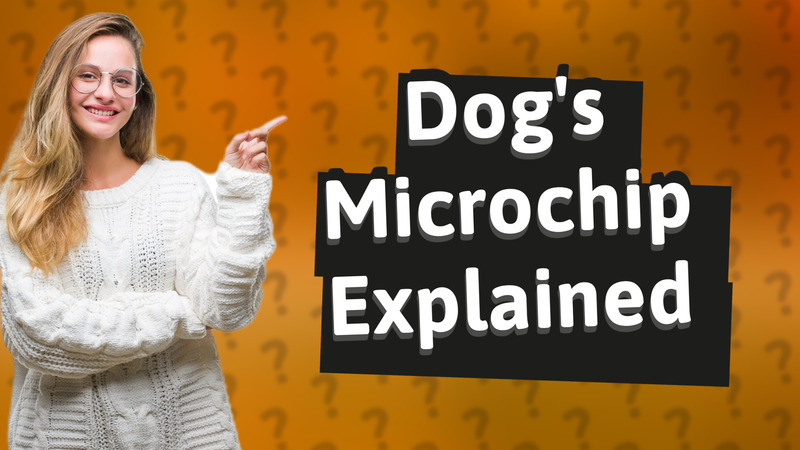 Dog's Microchip Explained