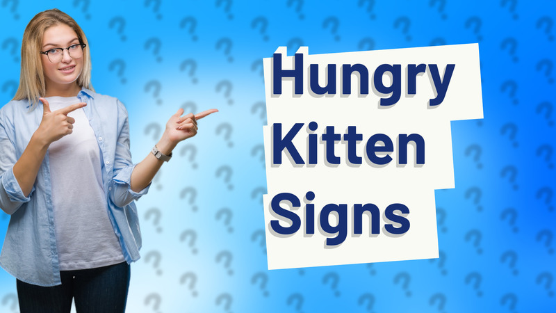 Hungry Kitten Signs