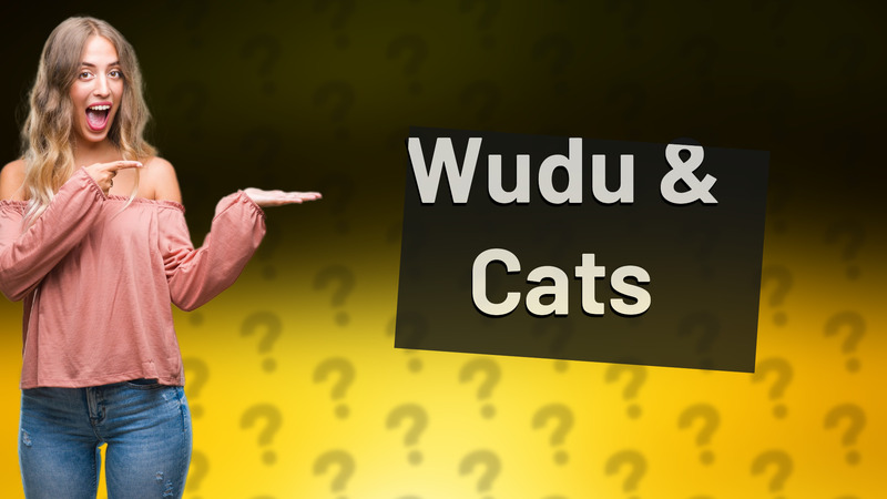 Wudu & Cats