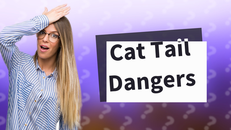 Cat Tail Dangers