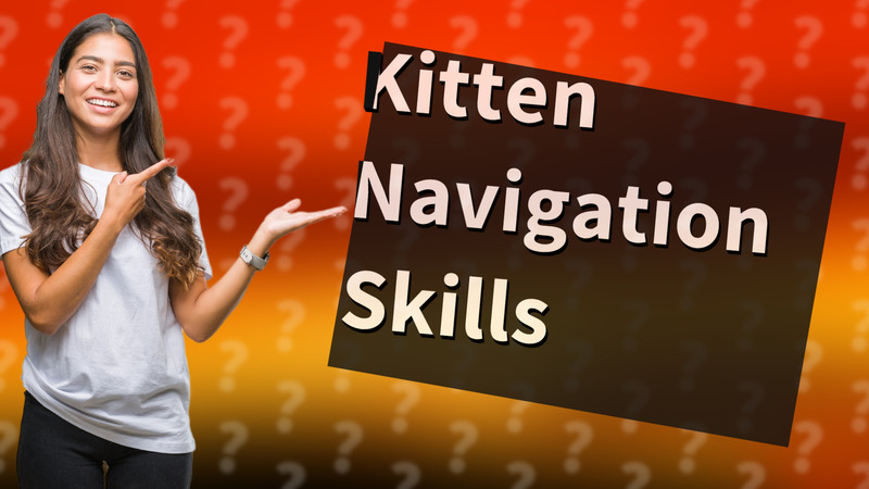 Kitten Navigation Skills