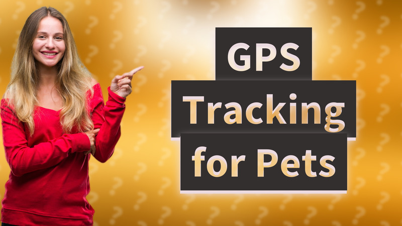 GPS Tracking for Pets