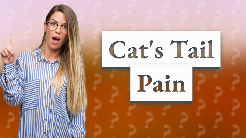 Cat's Tail Pain