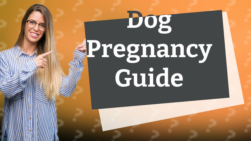 Dog Pregnancy Guide