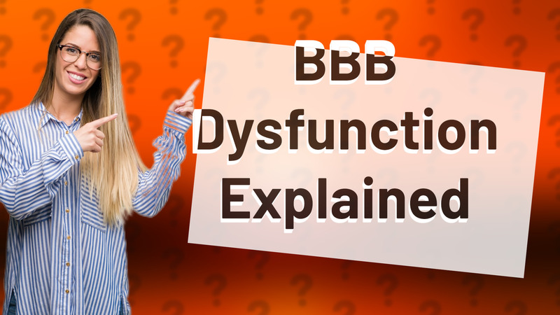 BBB Dysfunction Explained
