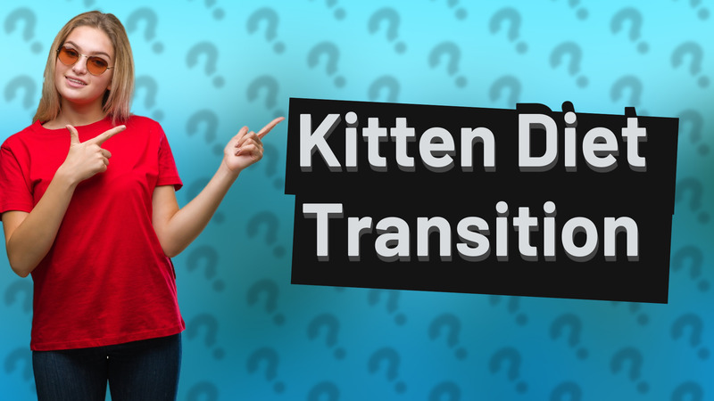 Kitten Diet Transition