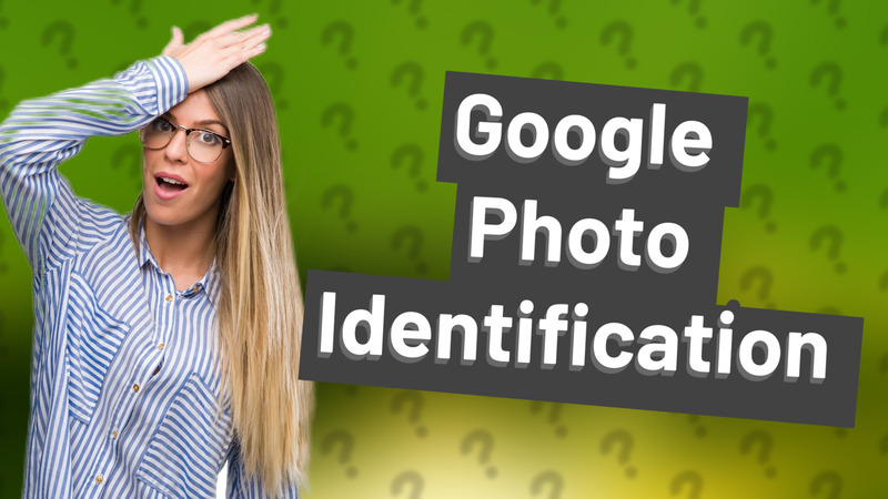 Google Photo Identification