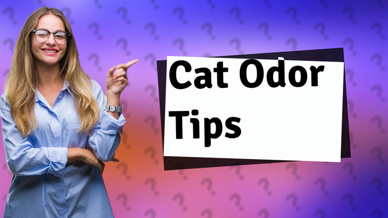 Cat Odor Tips