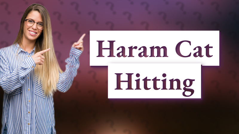 Haram Cat Hitting