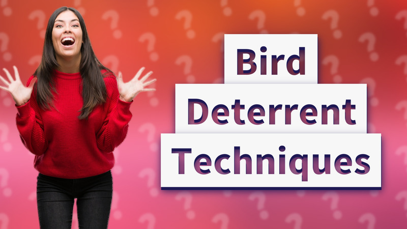 Bird Deterrent Techniques
