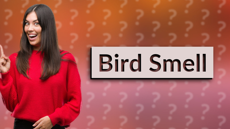 Bird Smell