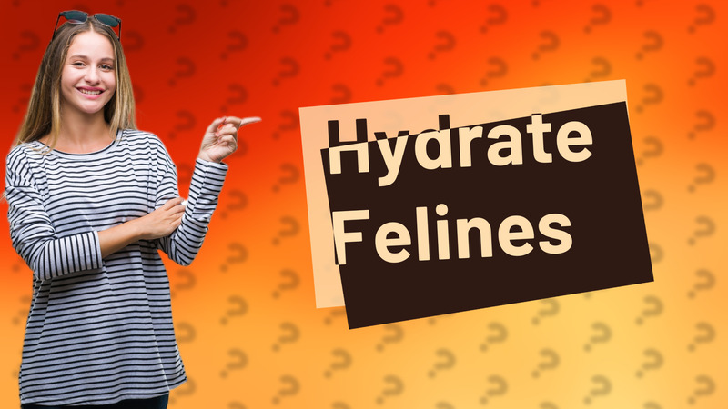 Hydrate Felines