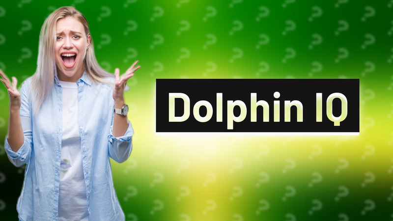 Dolphin IQ
