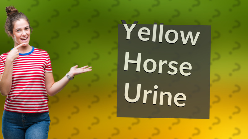Yellow Horse Urine